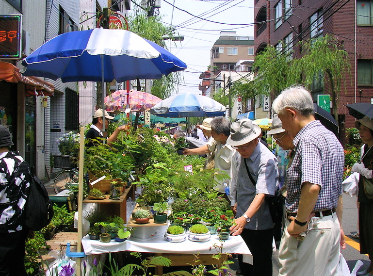 52 浅草植木市 気ままな いい旅 ネット 第一部